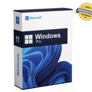 Windows 11 Pro - clé d'activation - 1 PC