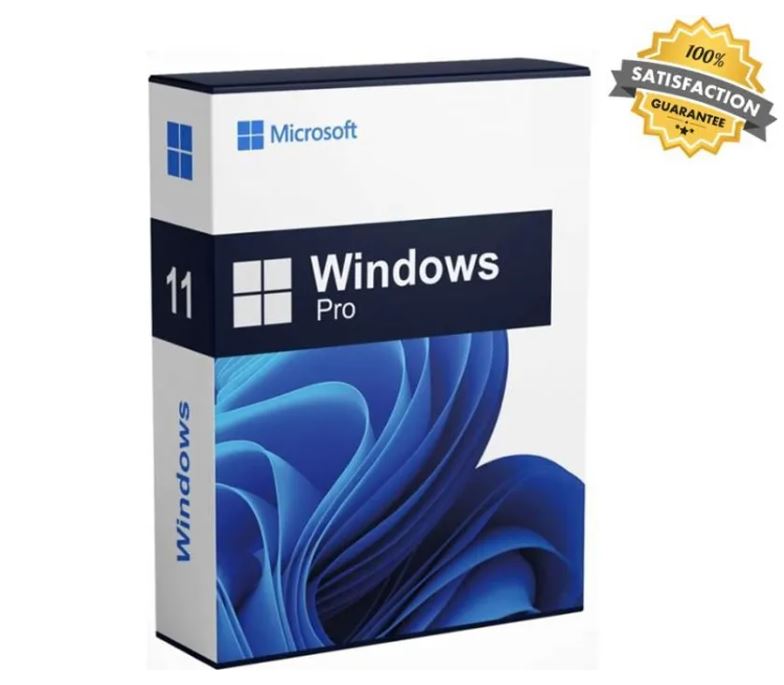 Windows 11 Pro - clé d'activation - 1 PC